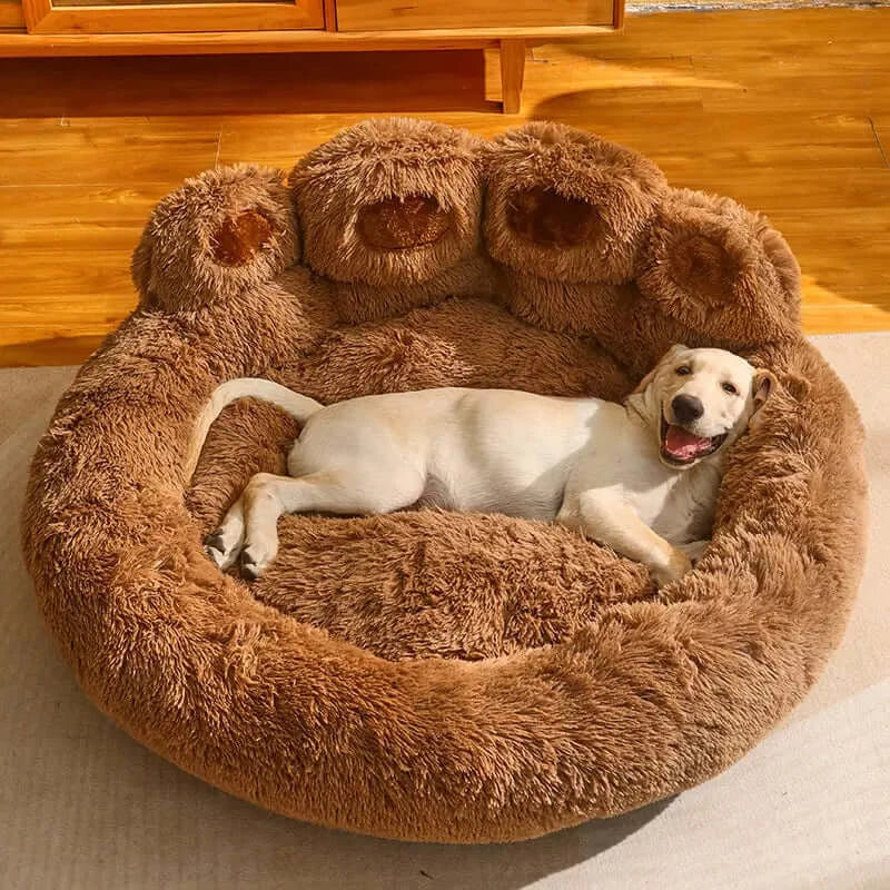 Cat and Dog Beds