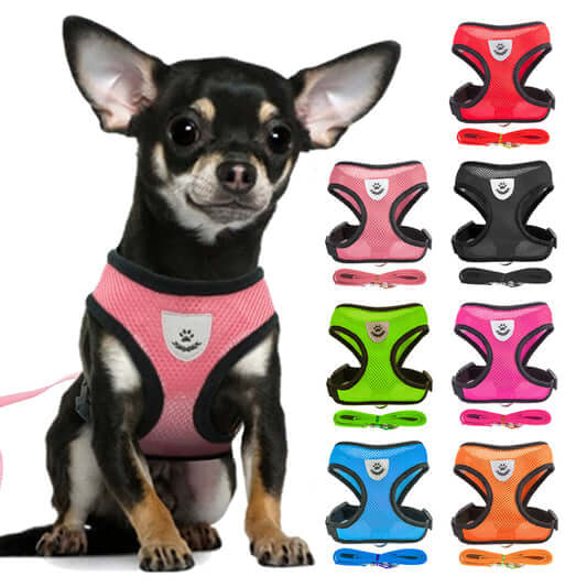Dog and cat collars, harnesses, and leashes