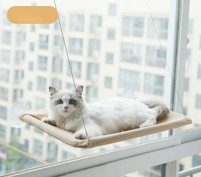  Cat Window Hanging Bed hammock
