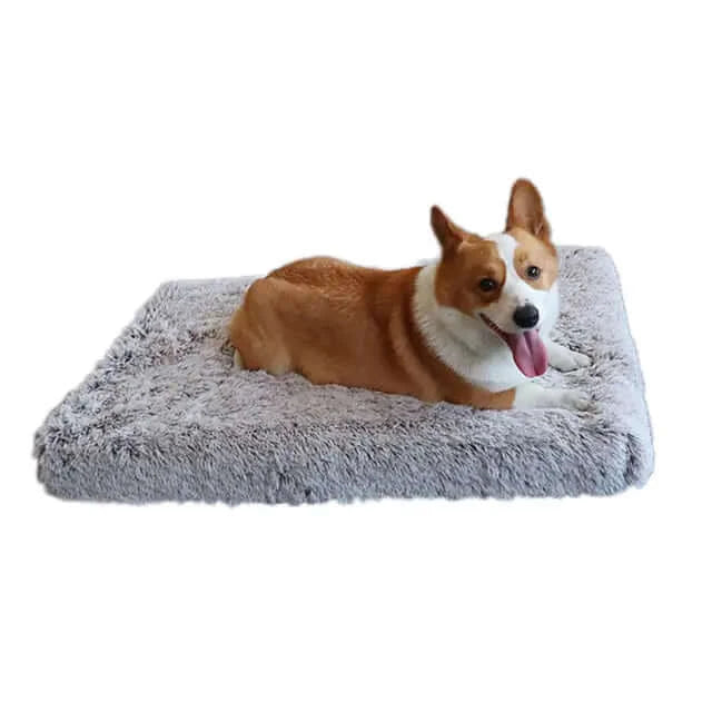 Plush Cozy Pet Bed for dogs or cats